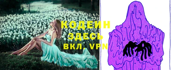 спайс Вяземский