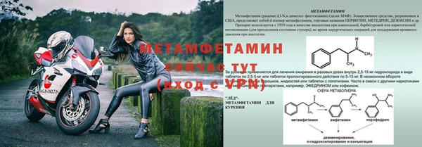 спайс Вяземский