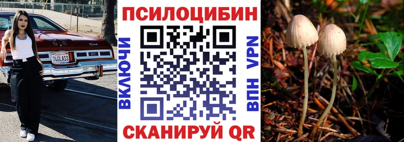 Галлюциногенные грибы MAGIC MUSHROOMS  где купить наркоту  Звенигород 